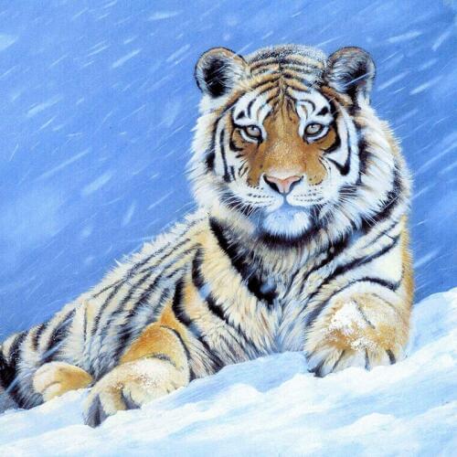 Full Square Round Drill 5D DIY Diamond Painting Tiger Snow 3D Embroidery Cross Stitch Mosaic Rhinestone Home Decor Gift