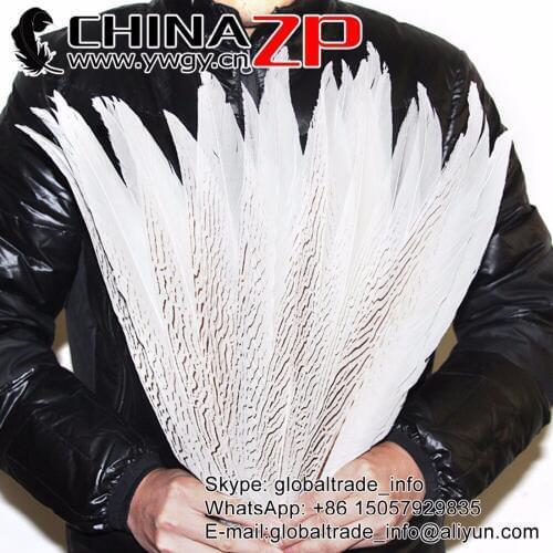 CHINAZP Pheasant Feathers 50pcs/lot 35~40cm(14~16inch) White Bleached Silver Pheasant Tail Feather For Disny Carnival Costume