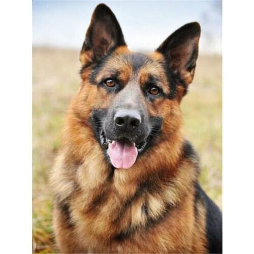 Animal German Shepherd DIY 11CT Embroidery Cross Stitch Kits Craft Needlework Set Cotton Thread Printed Canvas Home Design