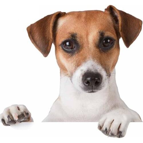 Personality Jack Russell Terrier Car Sticker Car Door Protector Decal Sunscreen Motorcycle Decoration Apply To Car Window Laptop