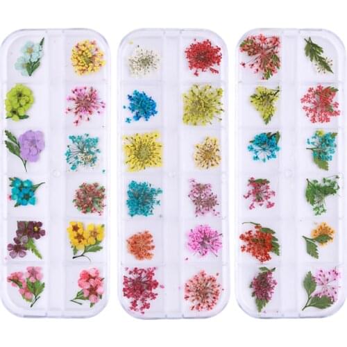 Real DIY Dry Dried Flower Leaves 3D UV Gel Acrylic False Tips Colorful Nail Art Decals Mold Fillings Jewelry Nail Decoration