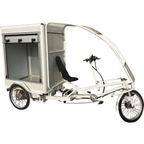 2020 New style advertisement trike elecric cart street side LED showing words electric cargo bike