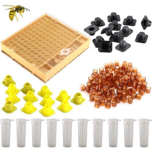 1 Set Bee Tools Cages King Queen Rearing Cup Complete kit Beekeeping Catcher Box Cell Breeding Grafting Box Apicultura Equipment