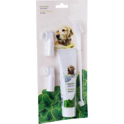 Pet Hygiene Teeth Care Toothbrushes Toothpaste Dog Cat Tooth Cleaning Health Supplies Pet Dog Oral Care Products