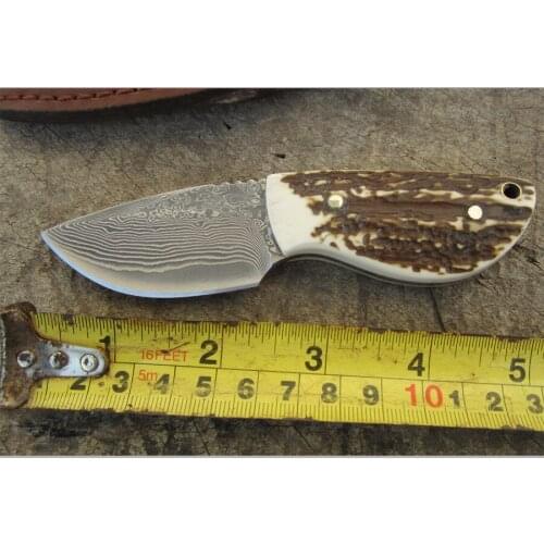 Hand Tools fruit knife, Camping outdoor survival knife, Damascus steel knife, Gift Knife for Collection