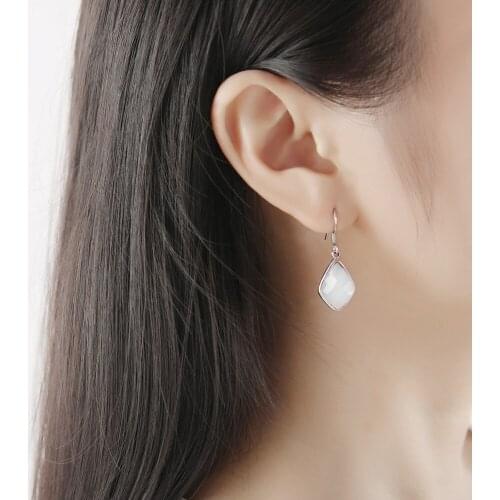 Korean Version Of The Temperament crystal Crystal Earrings Wild Long Paragraph Ladies Personality Simple Horse Eye Earrings
