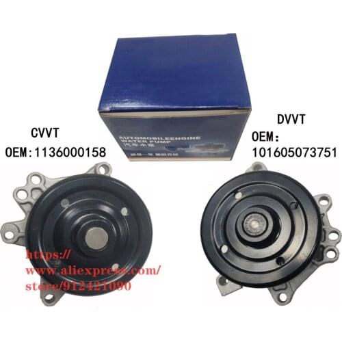 BEISANY Water Pumps