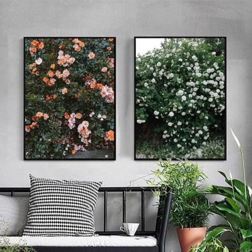 Plant Flowers Modern Nordic Photography Canvas Painting Art Picture Home Decoration Bedroom Living Room Wall Decoration Poster