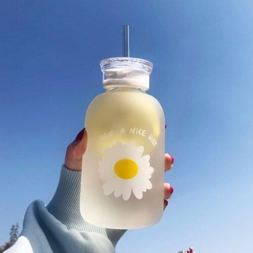 Glass Water Bottle with Straw Creative Daisy Frosted/Transparent Cup Leakproof Portable Drinking Bottle with a Sealing Cap Lid