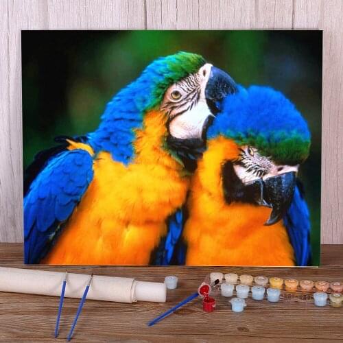 Parrot Bird Animal Paint By Numbers Package Oil Paints 40*50 Painting On Canvas Paintings Children Wholesale Drawing