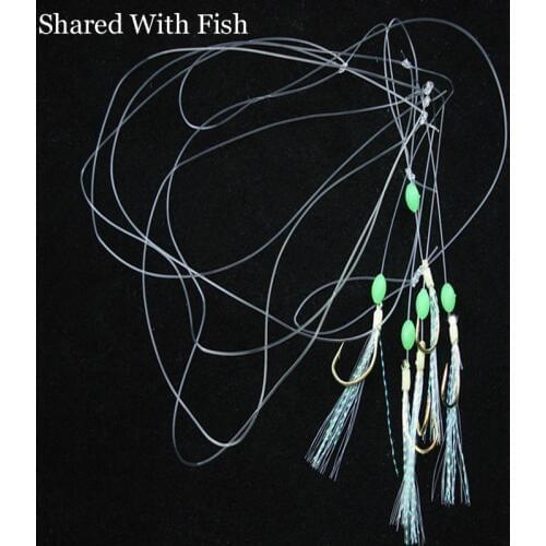 Shared With Fish 5set\lot tied with barbed wire line crystal bright 15# string hook Fishing hooks Tackle Accessories