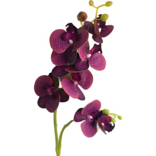 Artificial Latex Butterfly Orchid (2 stems/piece) 27.17" Length Real Touch Phalaenopsis Orchid for Home Floral Decoration