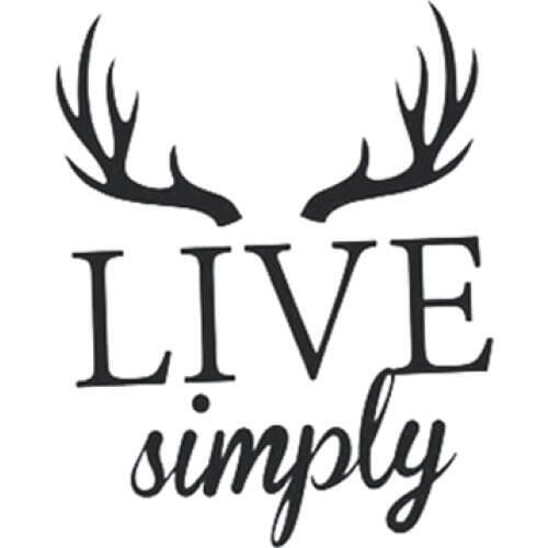 Live Text Car Decal Art Stickers Vinyl Car Decor Rear windshield Modern Style L589