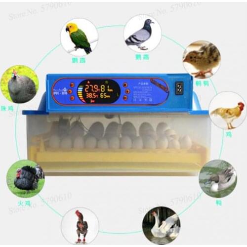 Incubator Fully Automatic Incubator Household Small Incubator Chick Duck Goose Intelligent Incubator