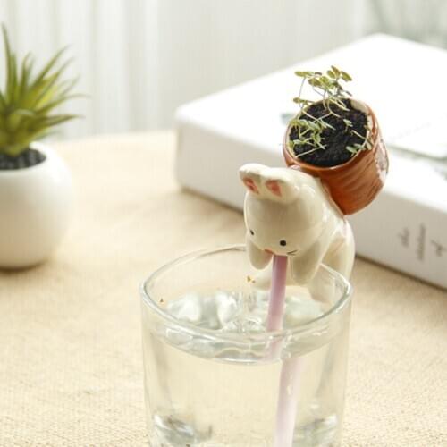 Creative super cute thirsty thirsty animals sucked in ceramic mini hydroponic pot automatic water plants can be mixed batch