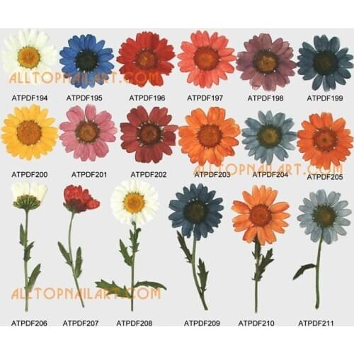 Dried flowers professional 1000pcs pressed flower vacuumize package Free shipping