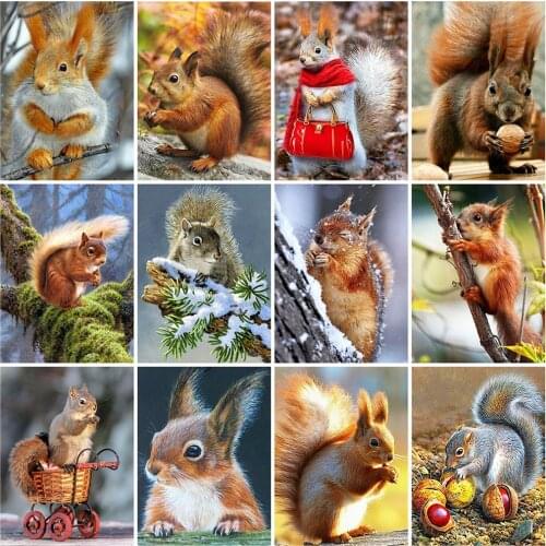 Evershine 5D DIY Diamond Painting Squirrel Diamond Embroidery Full Square Animals Diamond Mosaic Cross Stitch Kit Home Decor