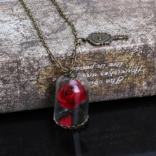 Women Romantic Dried Flowers Glass Bronze Long Chain Beauty and Beast Necklaces K3ND