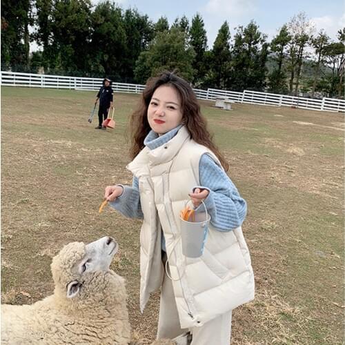 2020 Autumn Winter Black Down Cotton Vest Coat Women Solid Color Stand Collar Fashion Waistcoat Warm Ladies Top Chaleco Mujer