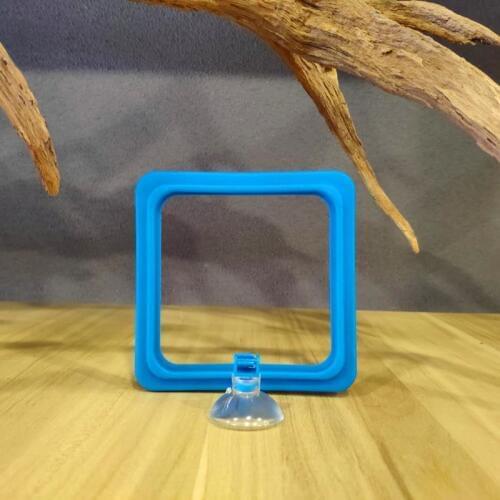 Fish Feeding Aquarium Fish Tank Ring Feeder Station Floating Food Water Plant Buoyancy Circle 1pcs Feeding Ring Aquarium Fish