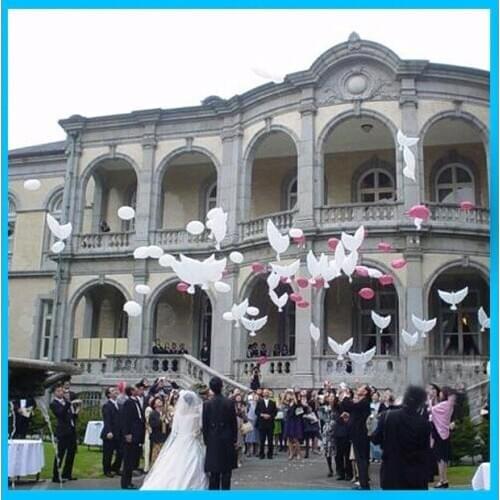 200pcs/lot free shipping Wedding biodegradable white Dove Balloons for decoration 100% degradable dove balloon