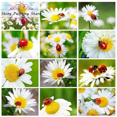 Full Diamond 5D DIY Diamond Painting White Daisy Seven Star Ladybug Diamond Embroidered Mosaic Flower Picture Room Decoration
