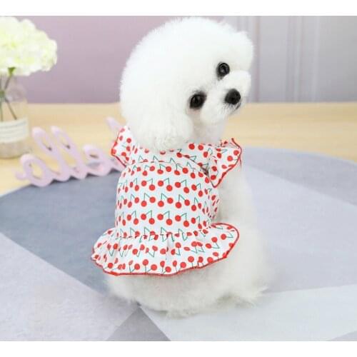 Dog Clothes Dress Cotton Skirt Princess Warm Tutu Clothing For Small Dogs Pet Apparel Supplies