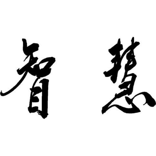 17*9CM WISDOM Chinese Character Stylish Car Stickers Decal Personality Car Styling Accessories Black/Silver C9-0639