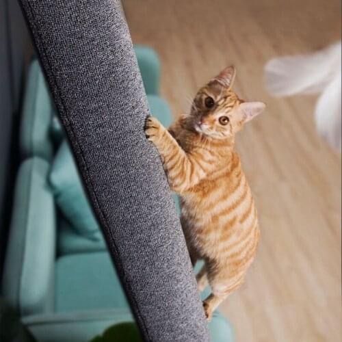 Solid Wood Cat Climbing Frame With Nest Wall Cat Frame Cat Tree Cat Scratching Post Platform Cat Claw Grinding Tool Pet Supplies