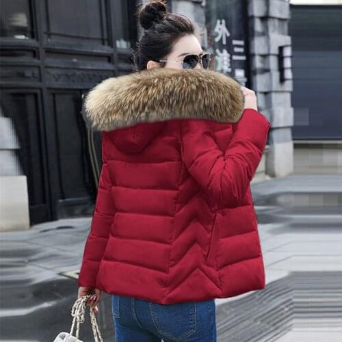 Big Fur Winter Jacket Women Thick Warm Parkas Women Down Jacket Coat Cotton Padded Woman Winter Jacket Coat Female 2021 New