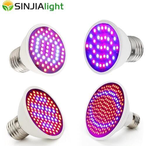 SINJIAlight Lighting
