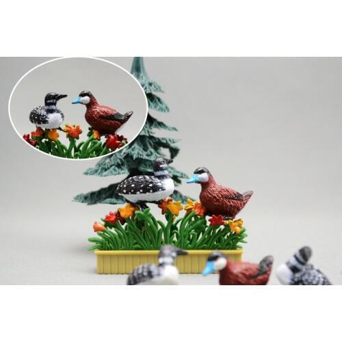 FREE SHIPPING FREE SHIPPING Solid animal model toy pheasant wigeon cormorants photography props sand table 5-7CM