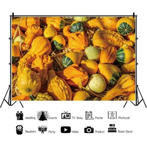 Harvest Season Golden Yellow Pumpkin Backdrops Photos Background Decorations for Portrait Photography Props Photocall