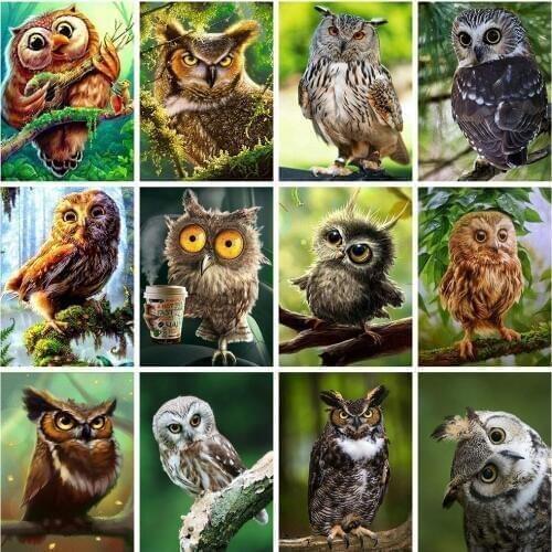 Evershine Diamond Painting Owl Full Square Mosaic Embroidery Animals Picture Of Rhinestones Cross Stitch Kit Home Decoration