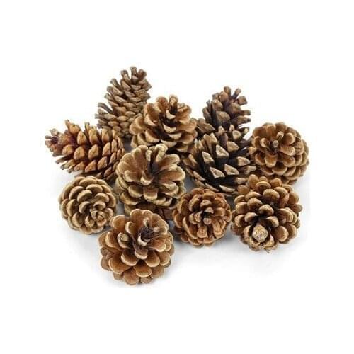 Robin Express Pine Cones 10'lu christmas decorations рождественские украшения