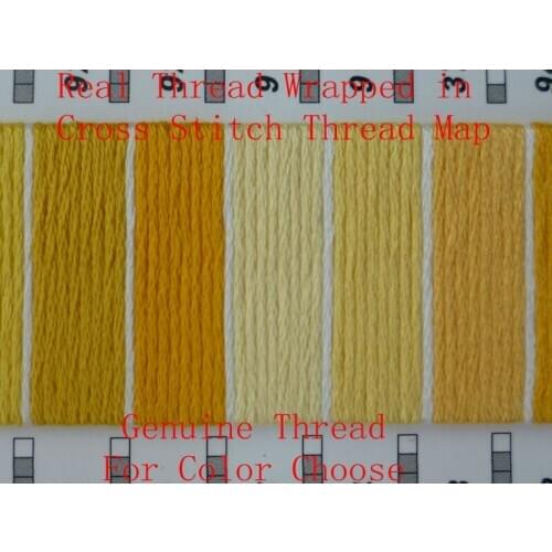 Embroidery Cross Stitch Embroidery Thread Skein 447 Colors Map Book Guide Made by Genuine Thread 447 Small Samples on Book