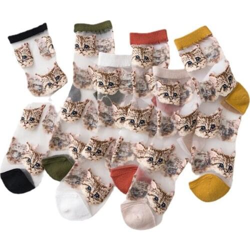 5 Pairs Lot Womans Cat Pattern Socks Harajuku Crystal Transparent Girls Kawaii Socks Streetwear Cute Sox