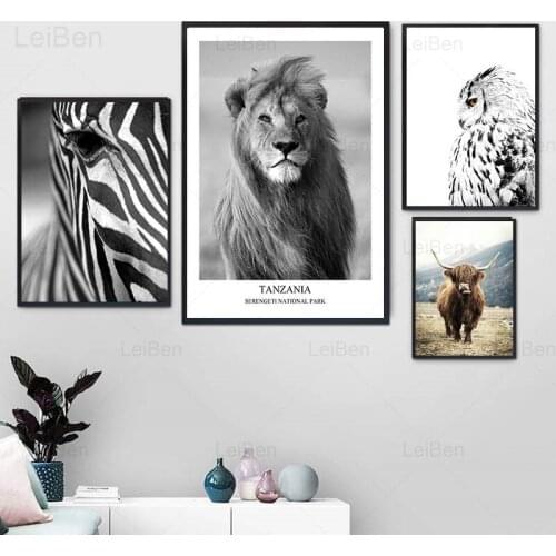 Nordic Black and White Animal Canvas Painting Zebra Lion Owl Black and White Wall Art Poster Picture Home Decoration Living Room