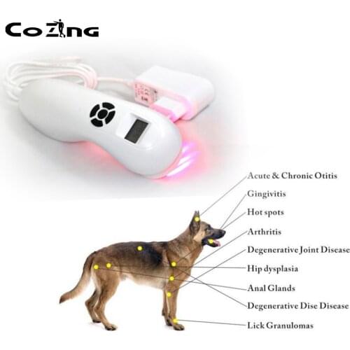 2020 New Veterinary Dog and Horse Cat Animals Pain Relief LLLT Therapy Device For 808nm infrared Laser Safety Cold Laser