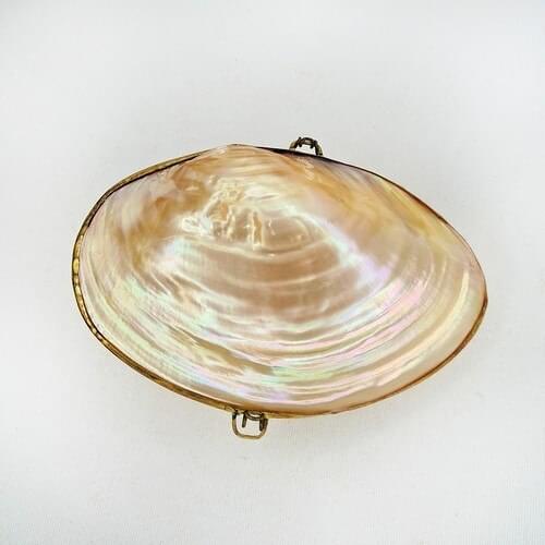 Turquoise Gift Rıvershell Shell Wallet