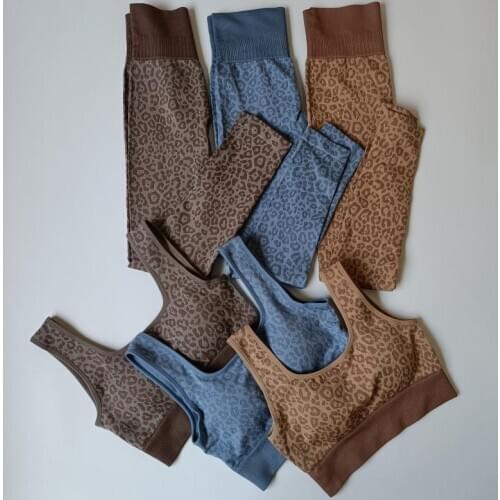 Sexy Leopard Yoga Set Women Sport Suit Workout Clothes High Waist Sport Leggings Bra Sports Clothing Sportswear Workout Suit