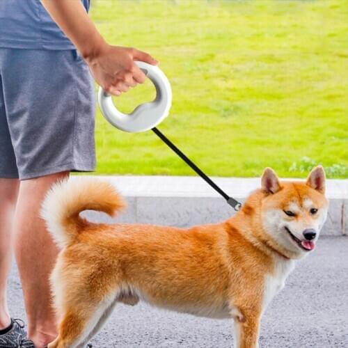 Heavy Duty Retractable Dog Leashes With Flashlight Free Dog Walking Leash Brake B2QB