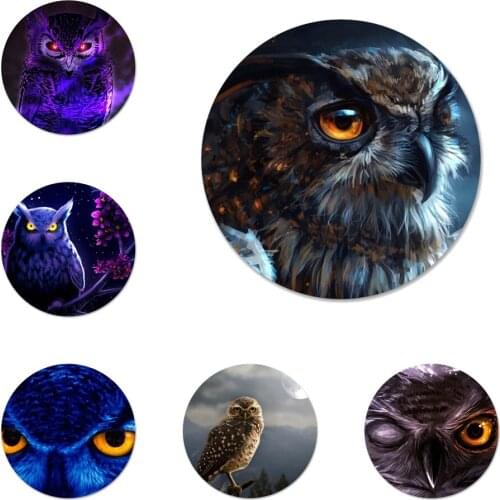 Animal Bird Owl Night Badge Brooch Pin Accessories For Clothes Backpack Decoration gift