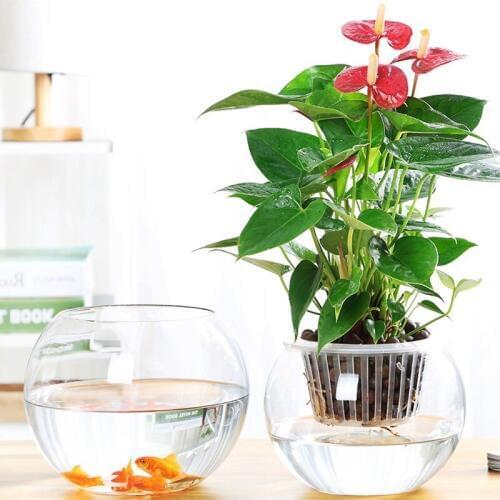 Diameter=10cm 12pcs/pack Beautiful Flat Mouth Glass Terrarium Fishbowl Creative Glass Globe Aquarium Home Decoration