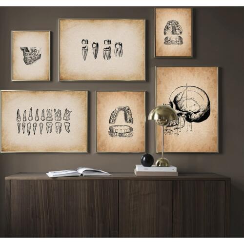 Human Medical Tooth Anatomy Science Vintage Posters Art Prints Nordic Canvas Painting Wall Pictures Medical Doctor Clinic Decor