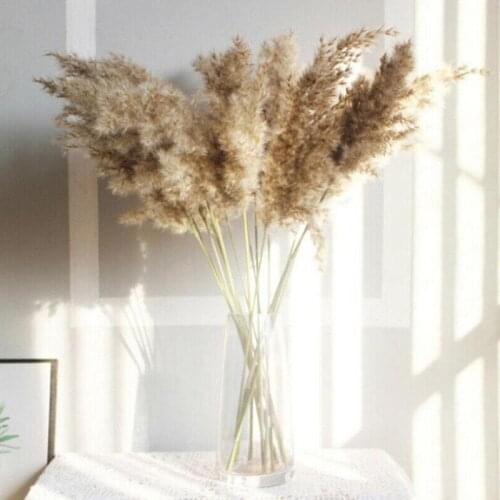 New Dried Pampas Grass Decor Wedding Flower Bunch Natural Plants Home Christmas Decorations Flowers Arrangement Natural Bouquet