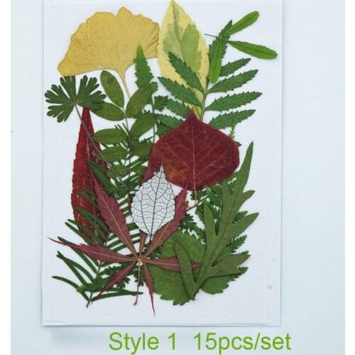 YUNZHİ Artificial Leaves
