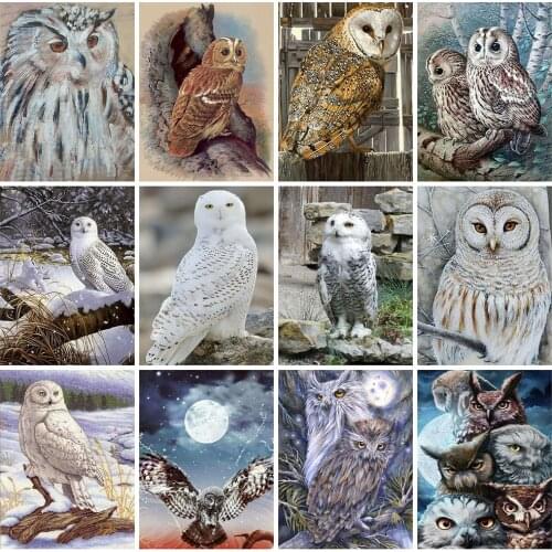 Huacan Diamond Painting Full Square New Arrival Animal 5D Diamond Embroidery Owl Mosaic Handmade Gift