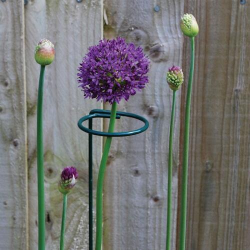 Round Shape Plant Stem Support Ring Cage Garden Iron Plant Border Support Wire Hoop Potted Stent Metal Plant Stand Tool
