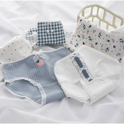 New Teenage Underpants Dog Printed Young Girl Briefs Cartoon Panties Girl Cotton Panties Kids Underwear